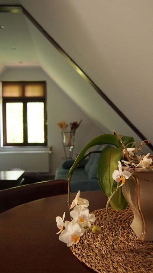Apartamenty Villa Akant Piechowice  Dış mekan fotoğraf