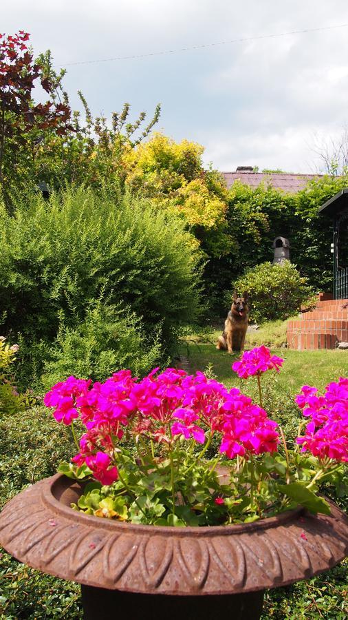 Apartamenty Villa Akant Piechowice  Dış mekan fotoğraf